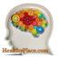 Λεπτές ανωμαλίες κυκλώματος του εγκεφάλου Επιβεβαιωμένες στην ADHD