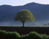 Προσπαθώντας να κατανοήσουμε τις βαθύτερες αιτίες της κατάθλιψης