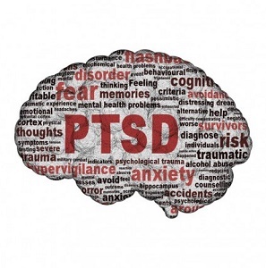 Το τραύμα επηρεάζει τον εγκέφαλο διαφορετικά σε άτομα που αναπτύσσουν PTSD. Αλλά μην ανησυχείτε, η αποκατάσταση συμβαίνει. Μάθετε πώς οι εγκέφαλοι των ασθενών με PTSD εργάζονται όταν αντιμετωπίζουν τραύμα. 
