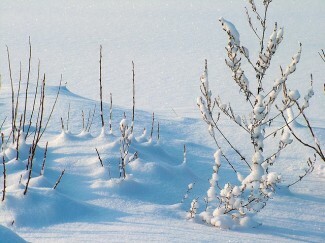 Ο χειμώνας μπορεί να επιδεινώσει την κατάθλιψη αλλά να διαβάσει αυτές τις συμβουλές για την επιβίωση του χειμώνα με την κατάθλιψη για την καταπολέμηση της.